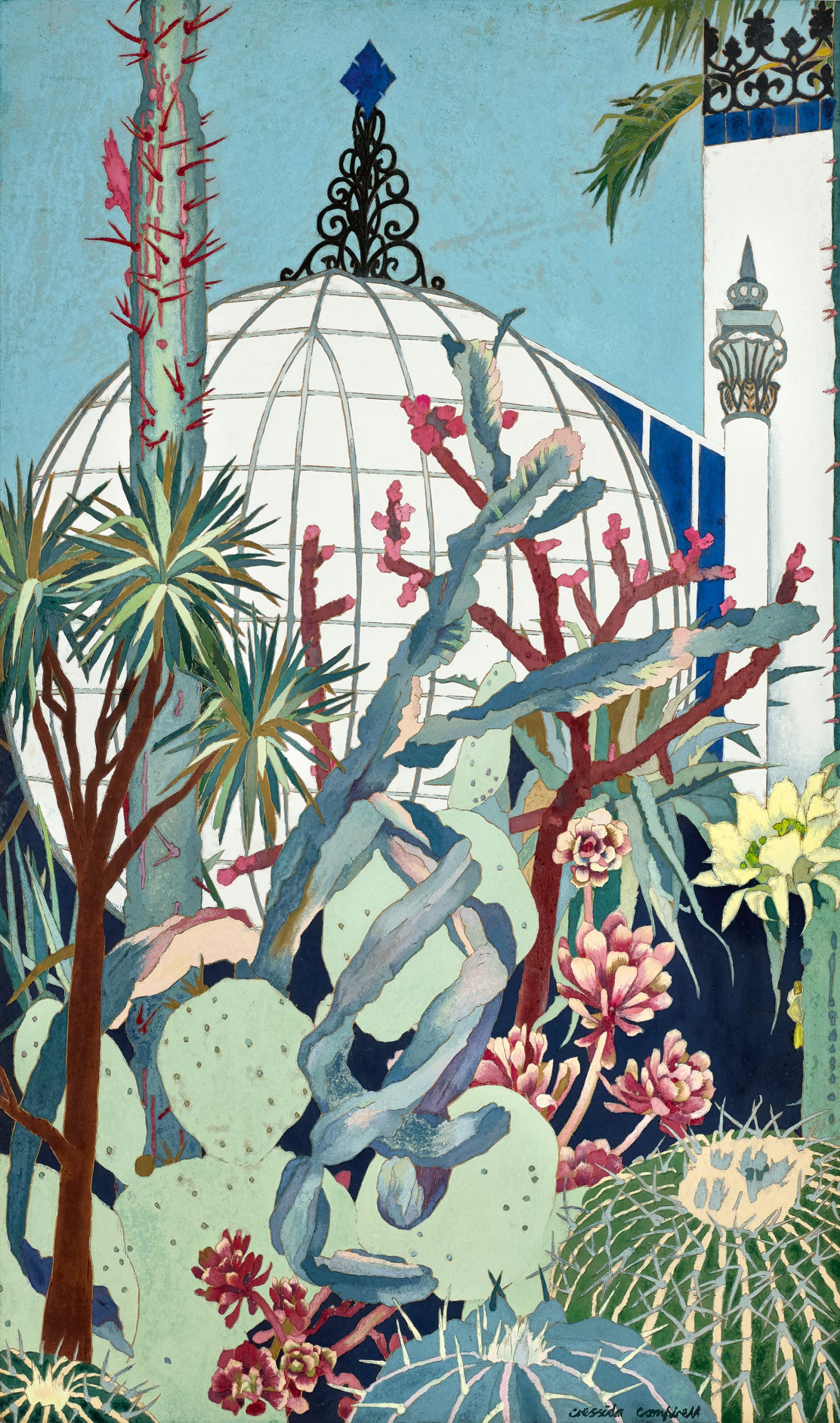 CACTI, BOTANIC GARDENS, ADELAIDE
