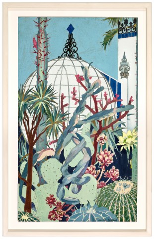 CACTI, BOTANIC GARDENS, ADELAIDE