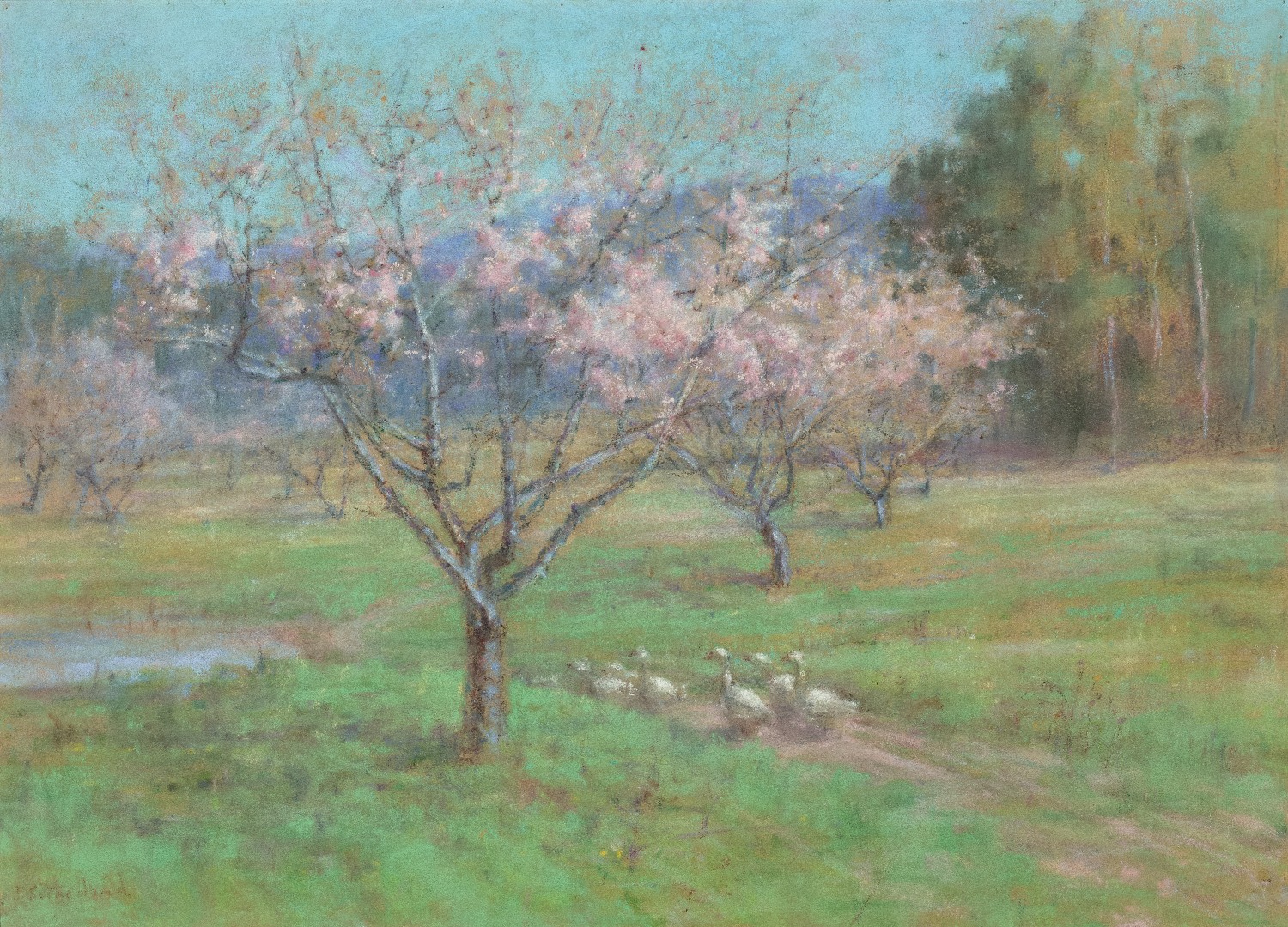 THE PEACH ORCHARD