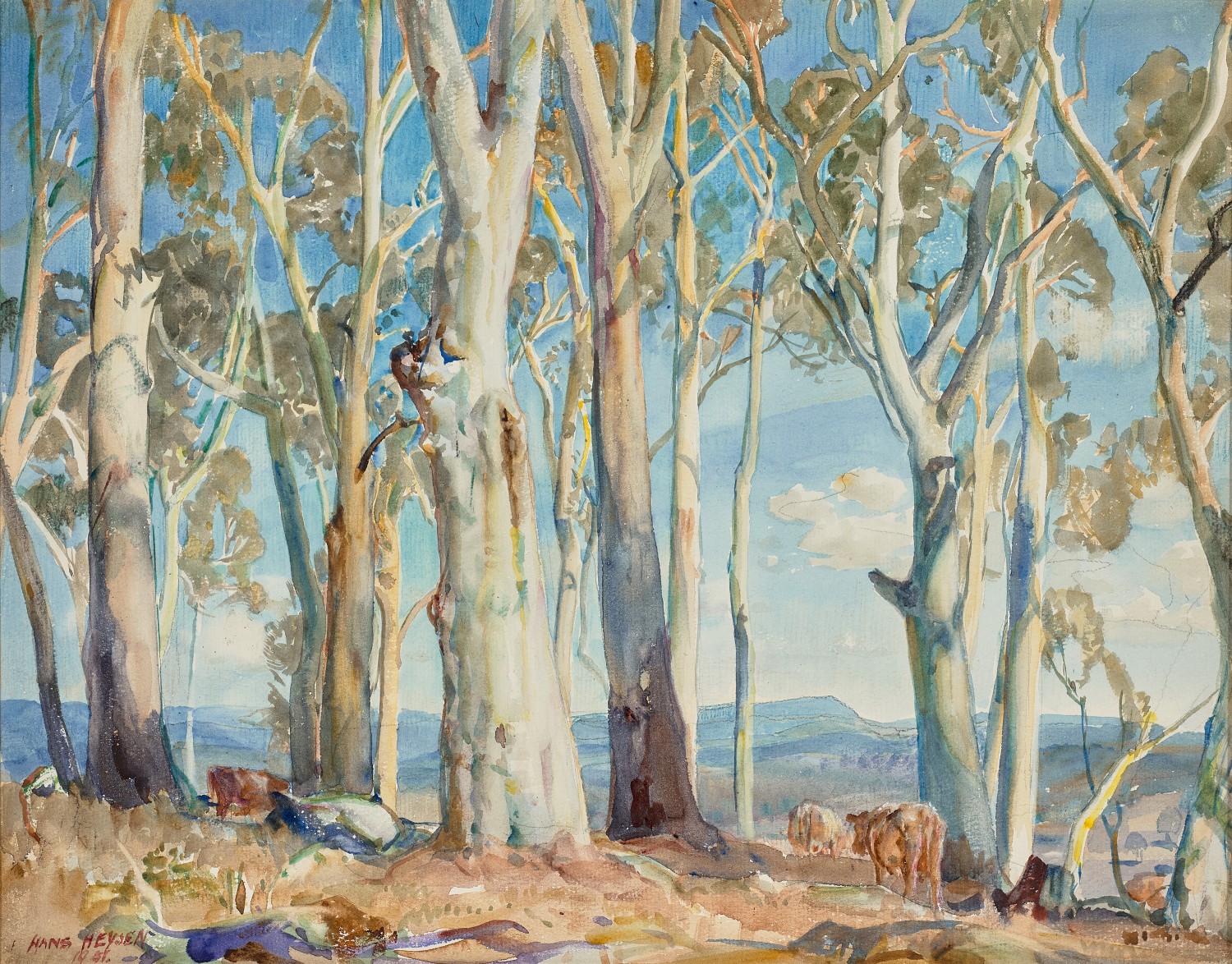 SUNLIT GUMS, HAHNDORF