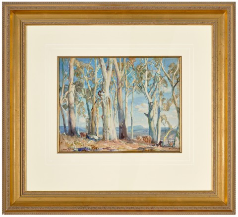 SUNLIT GUMS, HAHNDORF