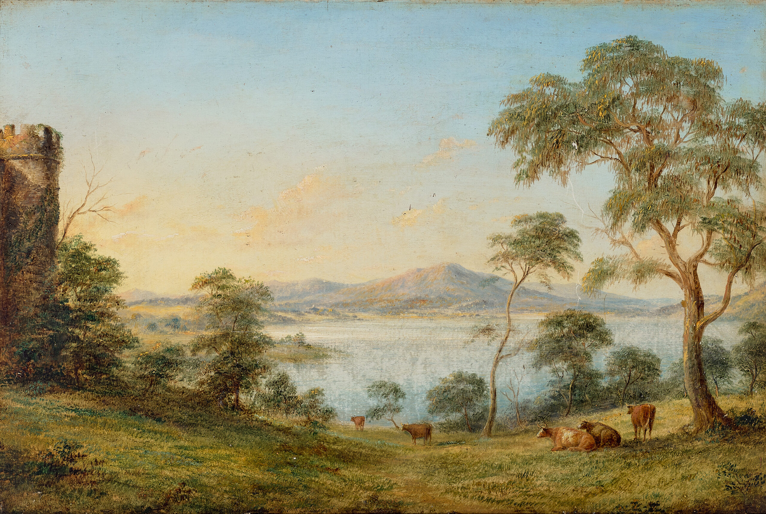 VIEW OF YAN YEAN FROM BEAR’S CASTLE