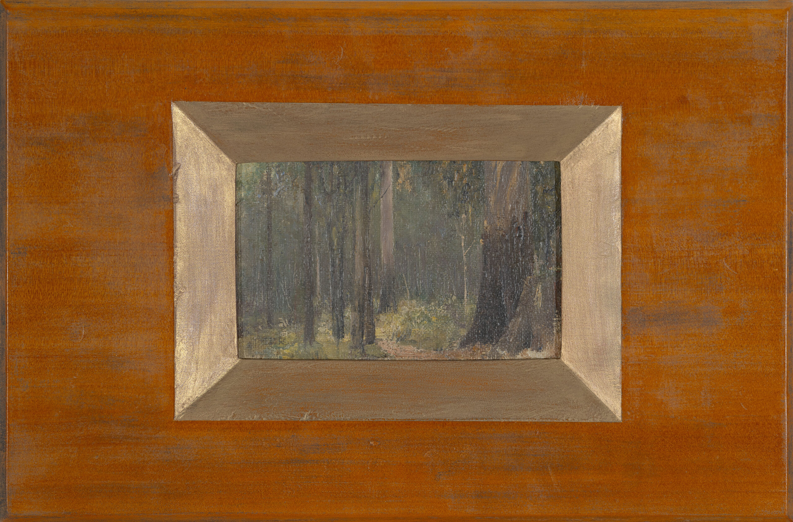 SHERBROOKE FOREST