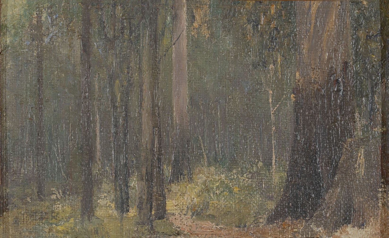 SHERBROOKE FOREST