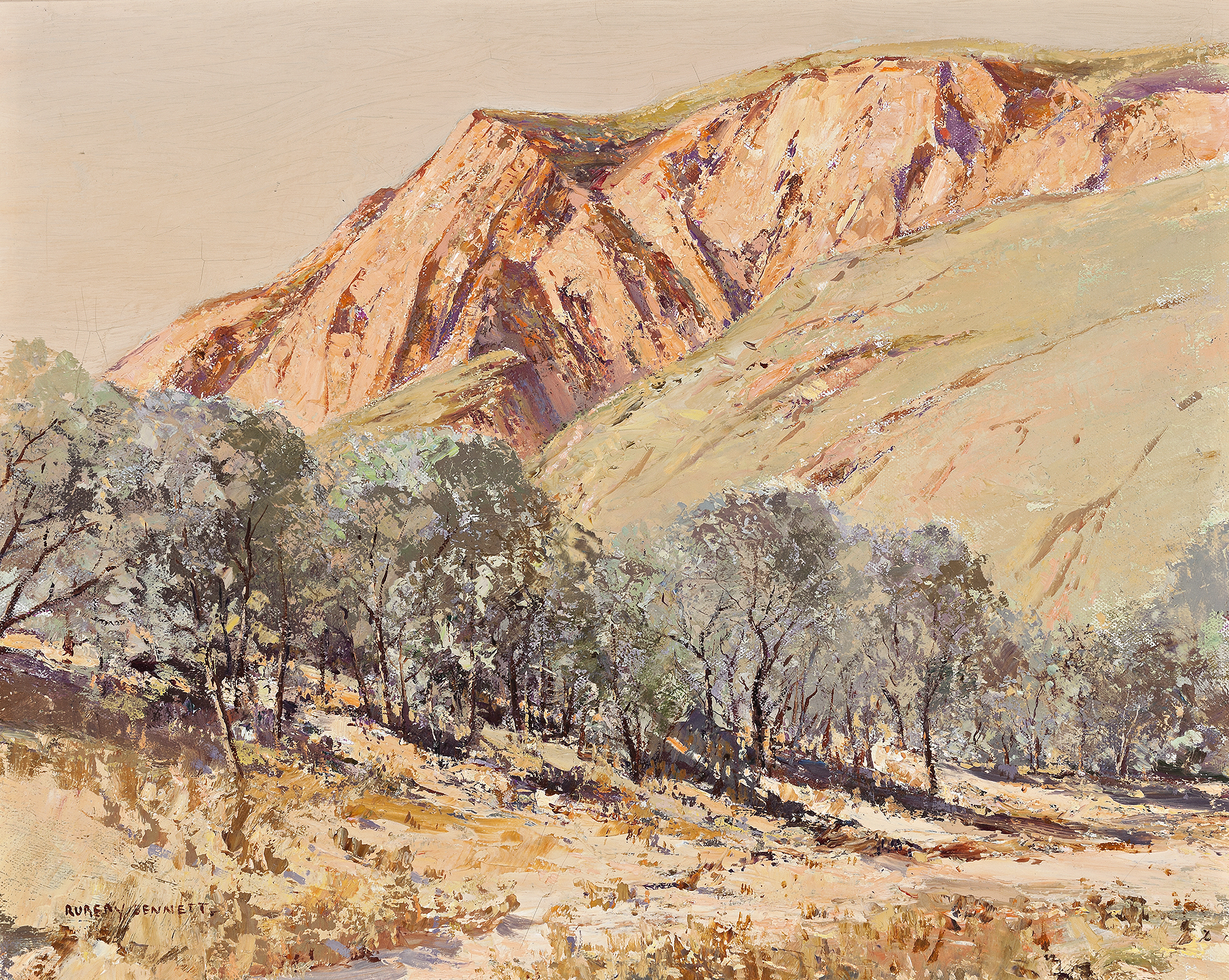 Central Australian landscape