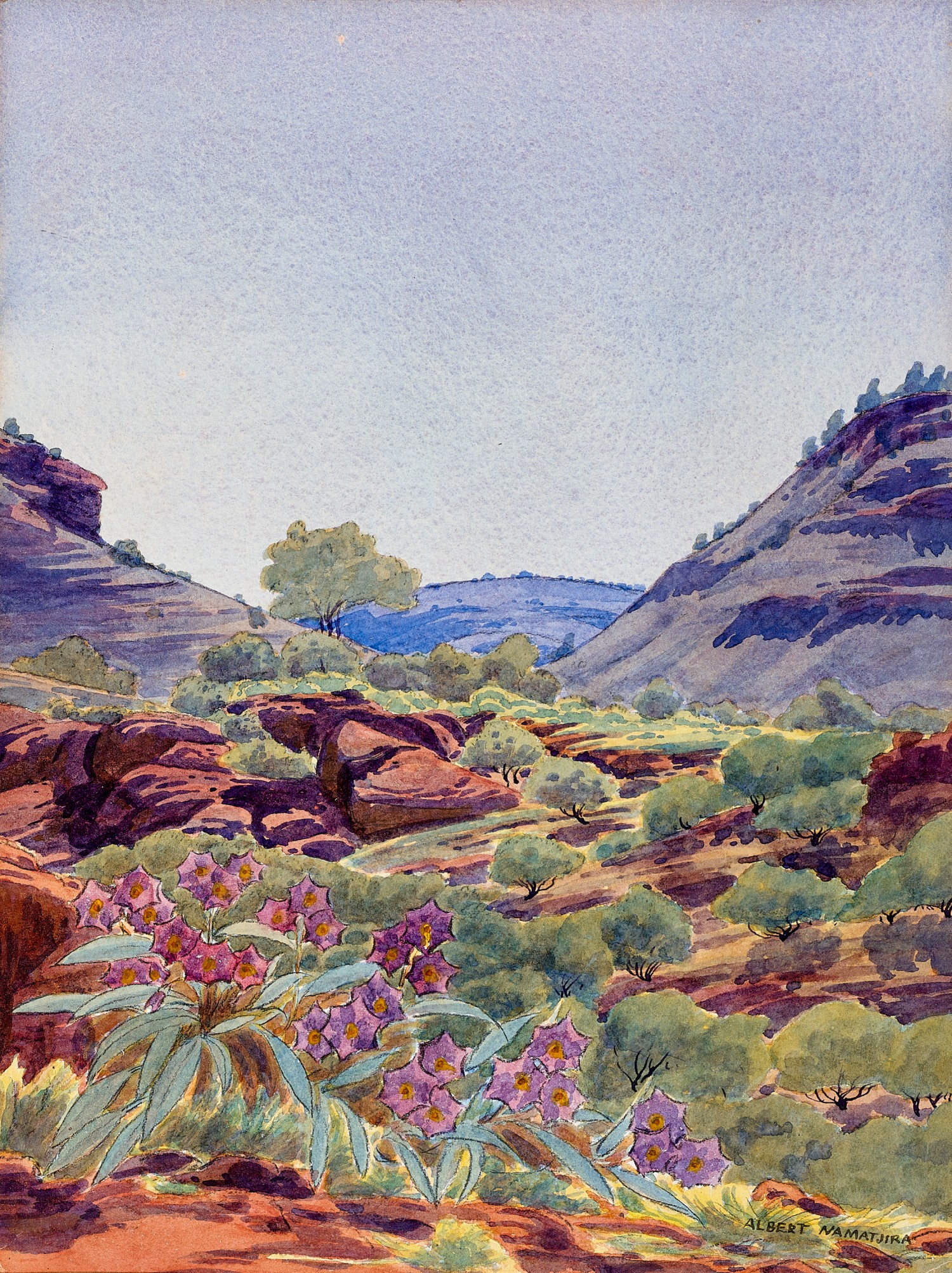 Central Australian landscape