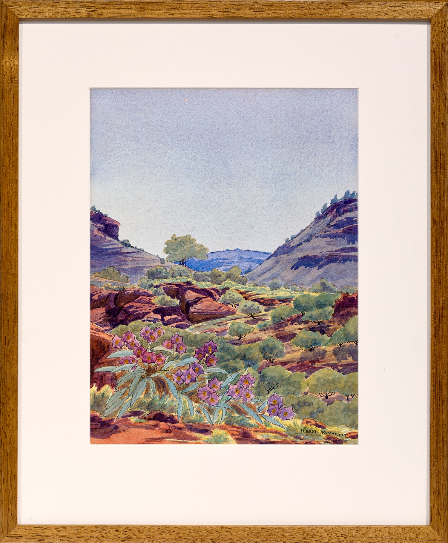 Central Australian landscape