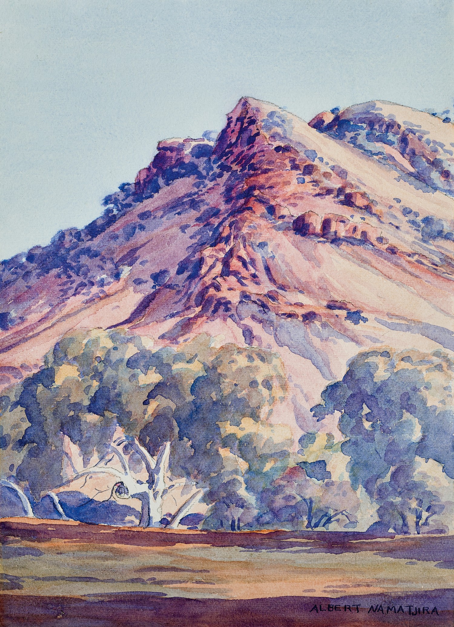 Gums at MacDonnell Ranges