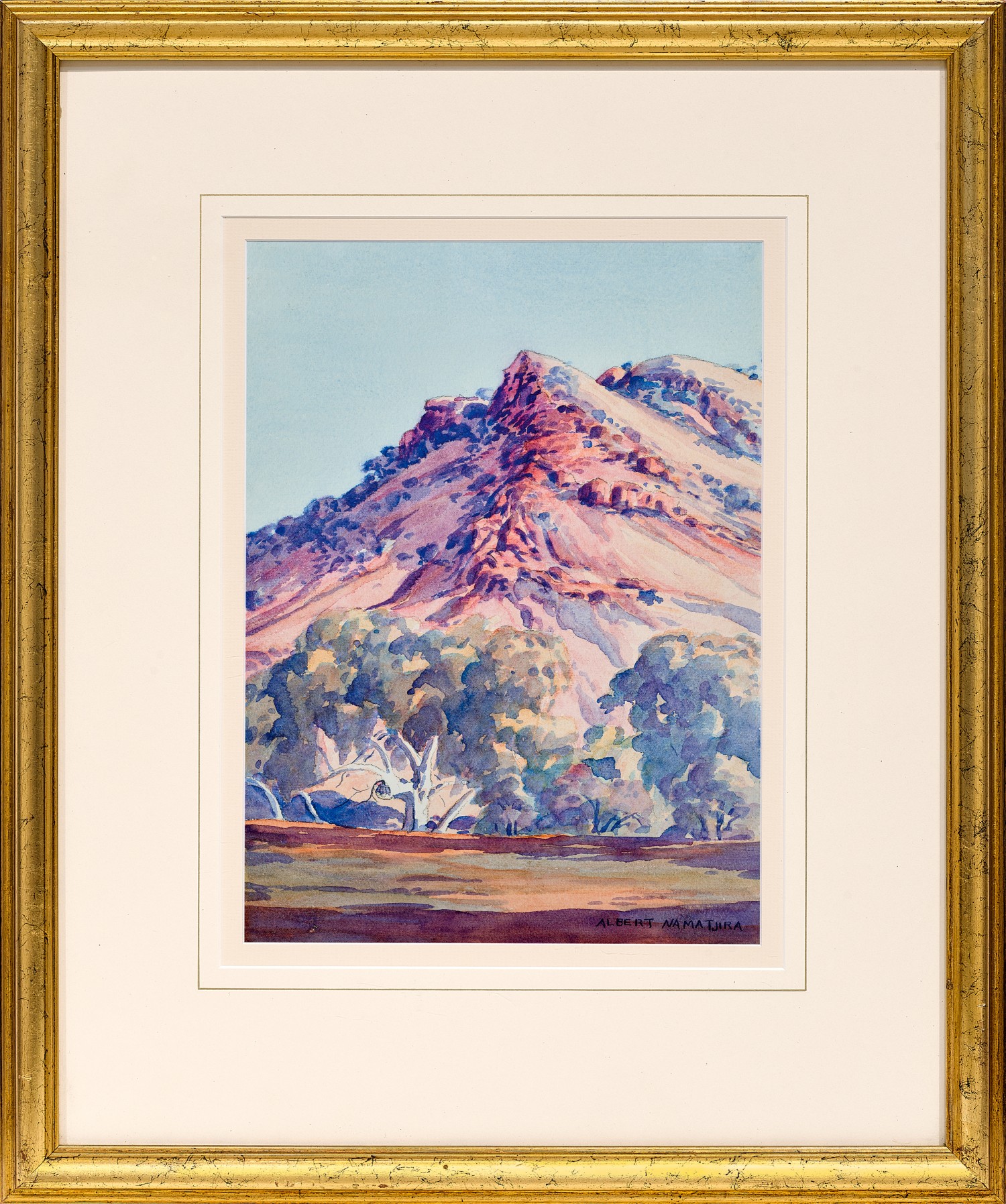 Gums at MacDonnell Ranges