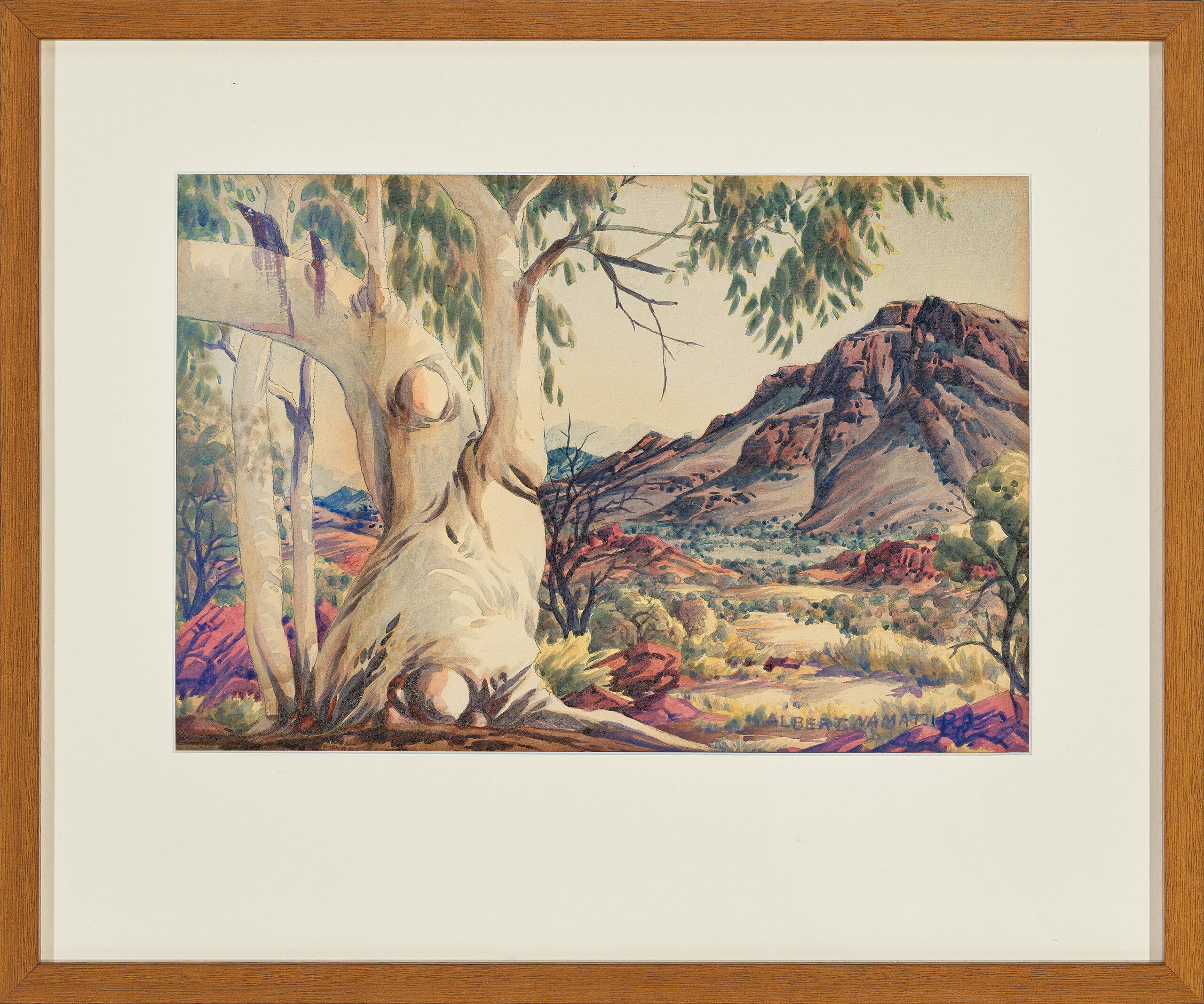GHOST GUM, CENTRAL AUSTRALIA