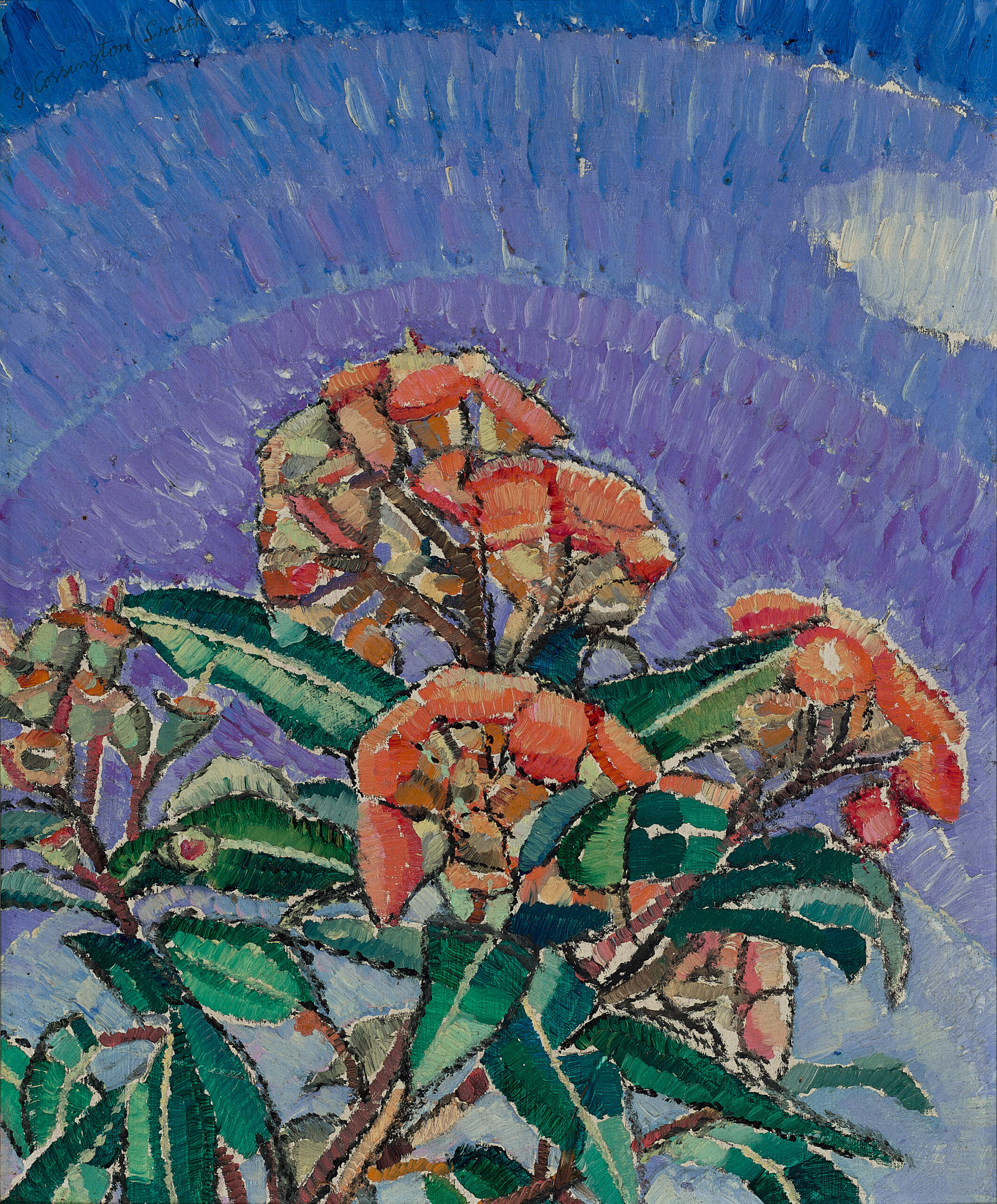 GUM BLOSSOM