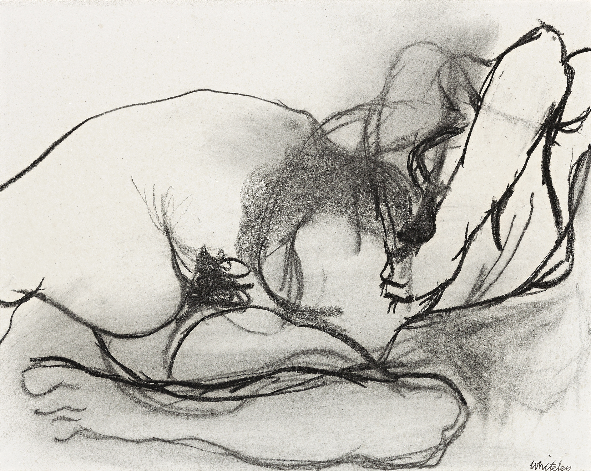 RECLINING NUDE