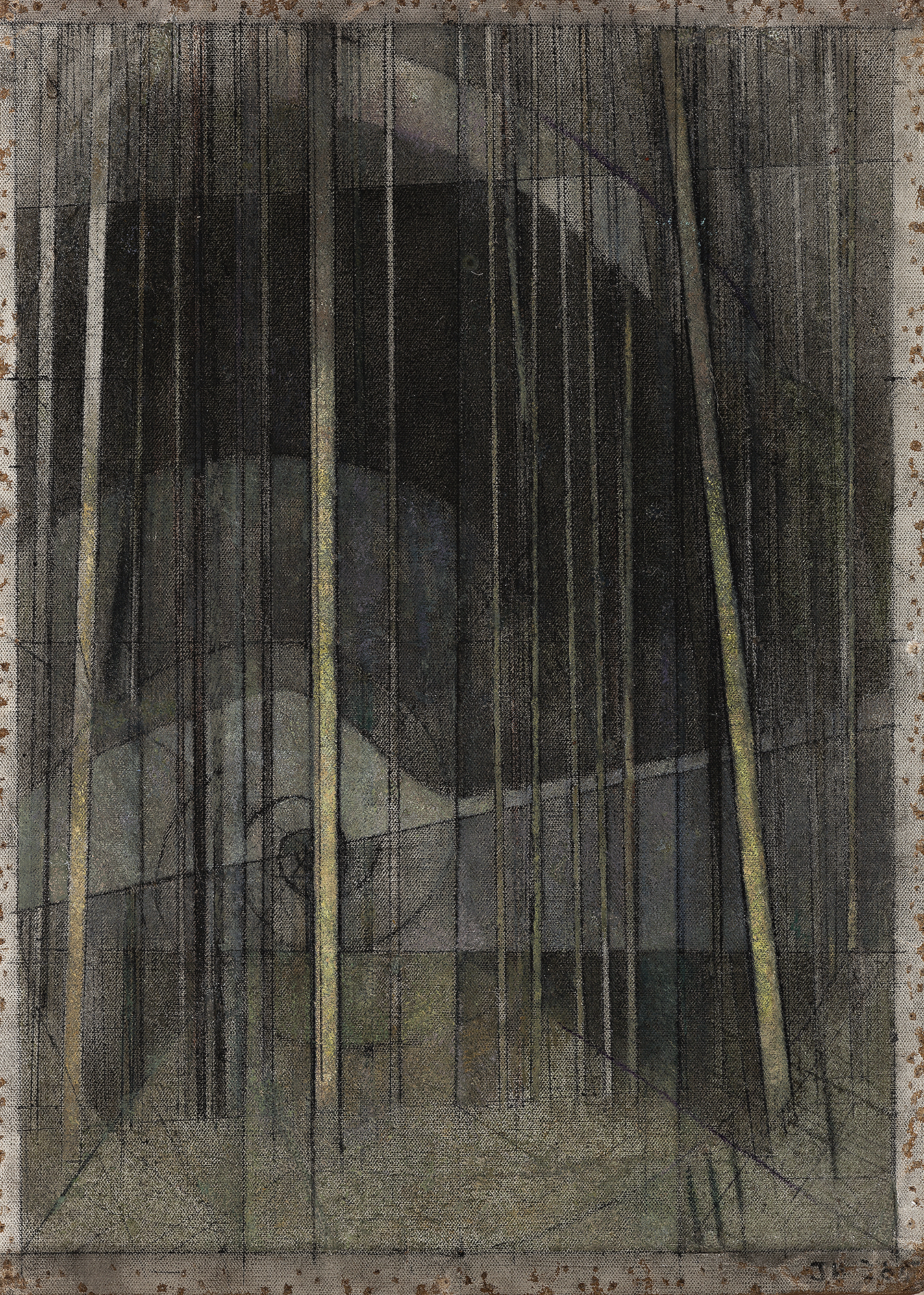 NOCTURNE TREES