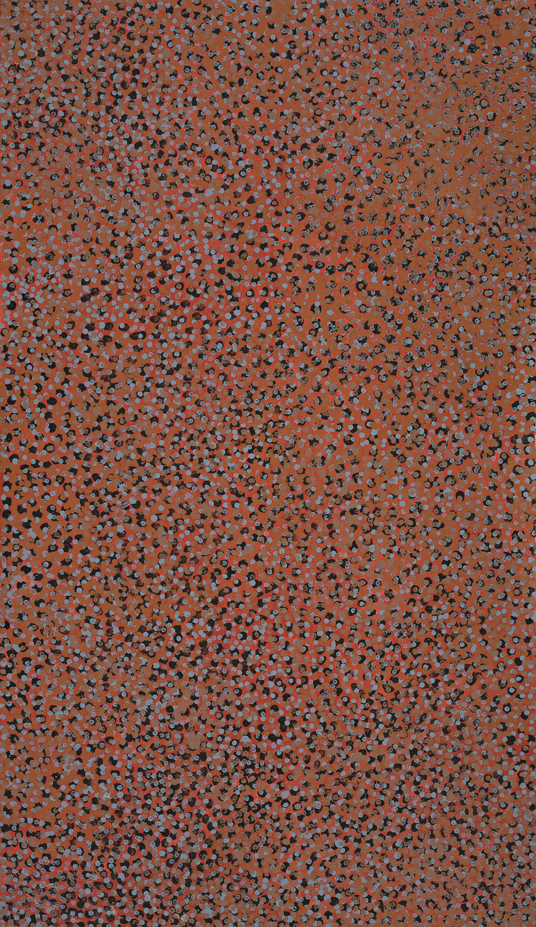 MERNE NDORKWA (WILD PLUM)
