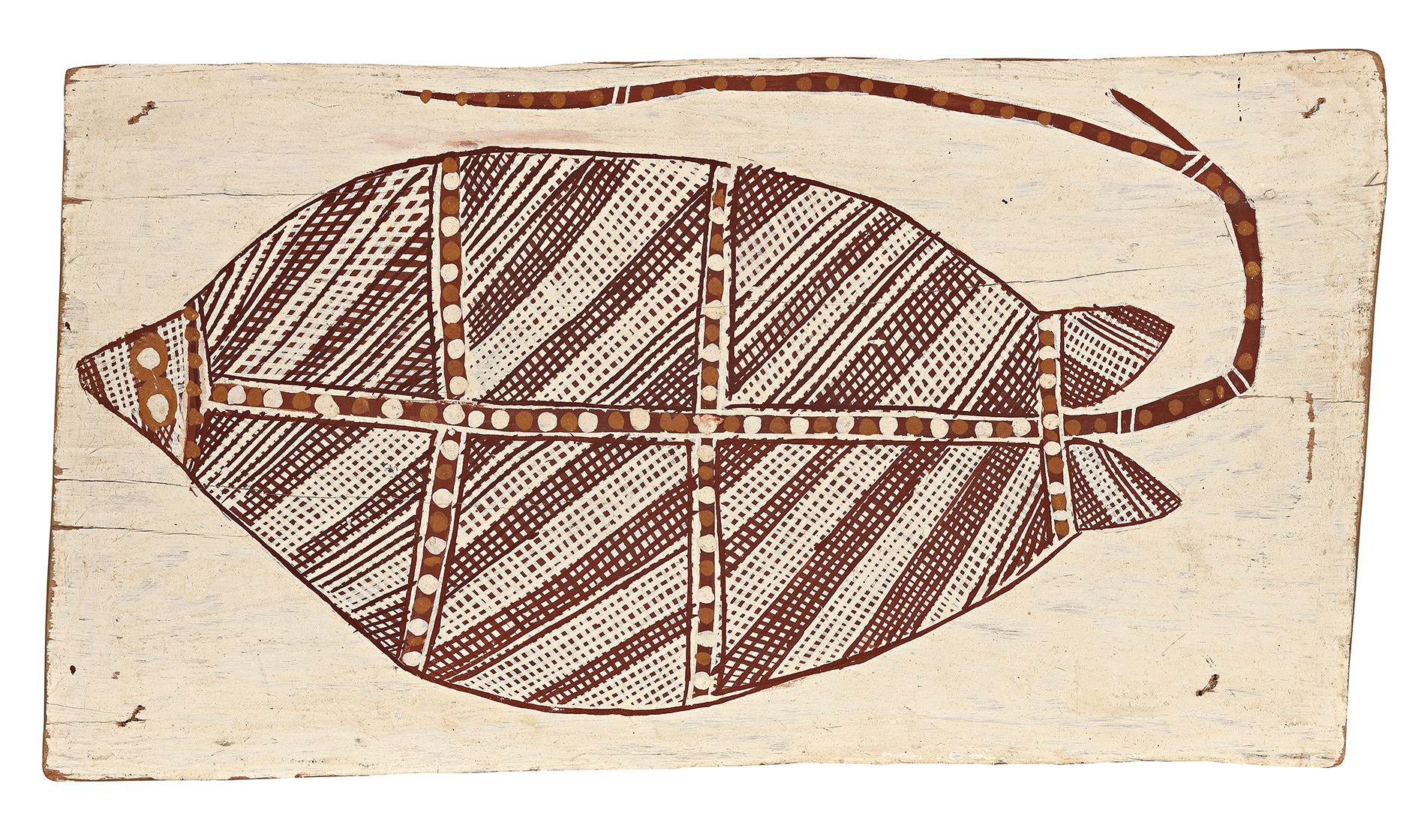 STINGRAY