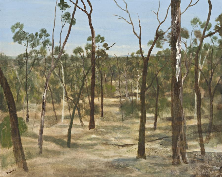 THE LITTLE FOREST