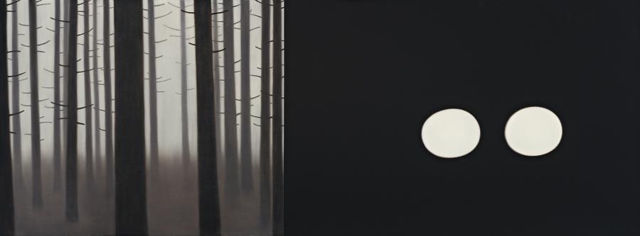 FOREST AND LIGHTS – SPLIT