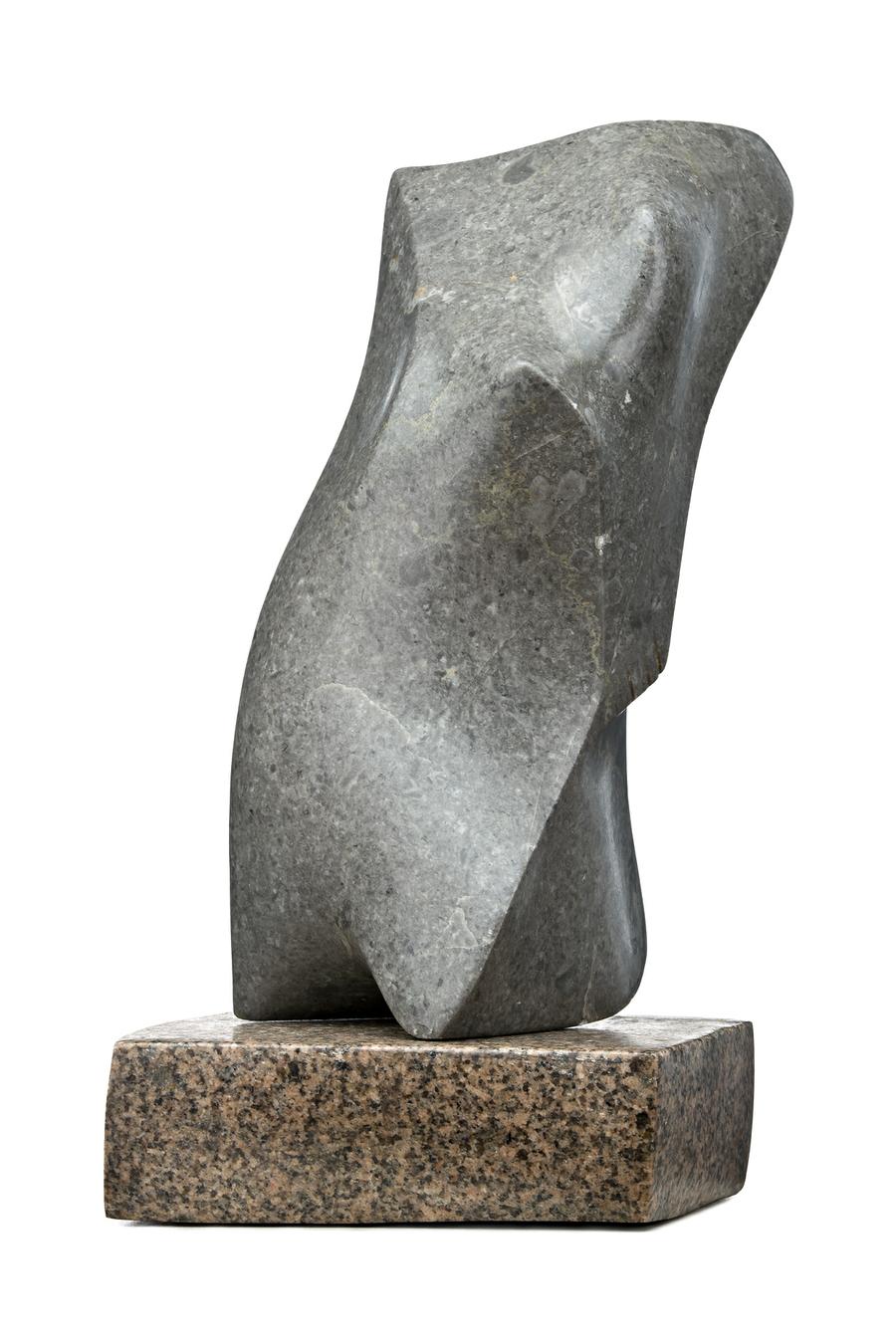 LITTLE TORSO