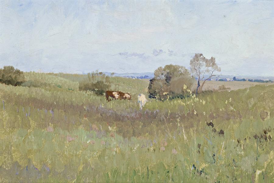 UNPLOUGHED FIELD