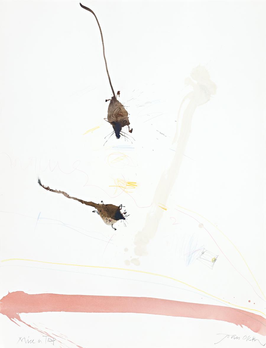 MICE AND TRAP