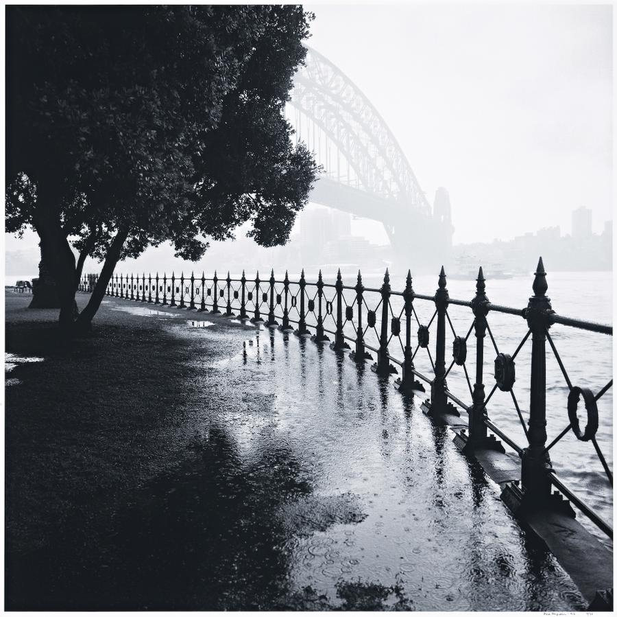 SYDNEY RAIN, BRIDGE