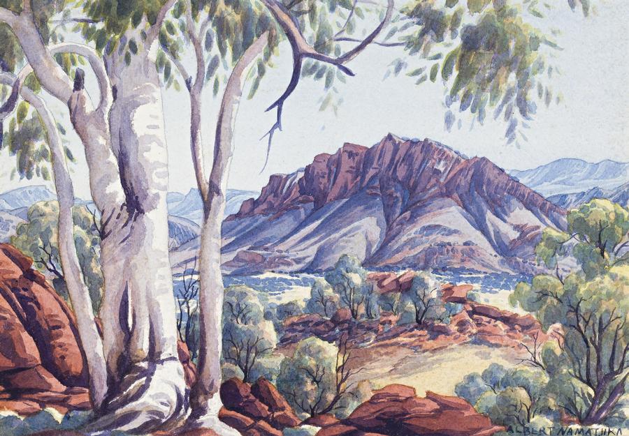 SUMMER IN THE GOSSE RANGE