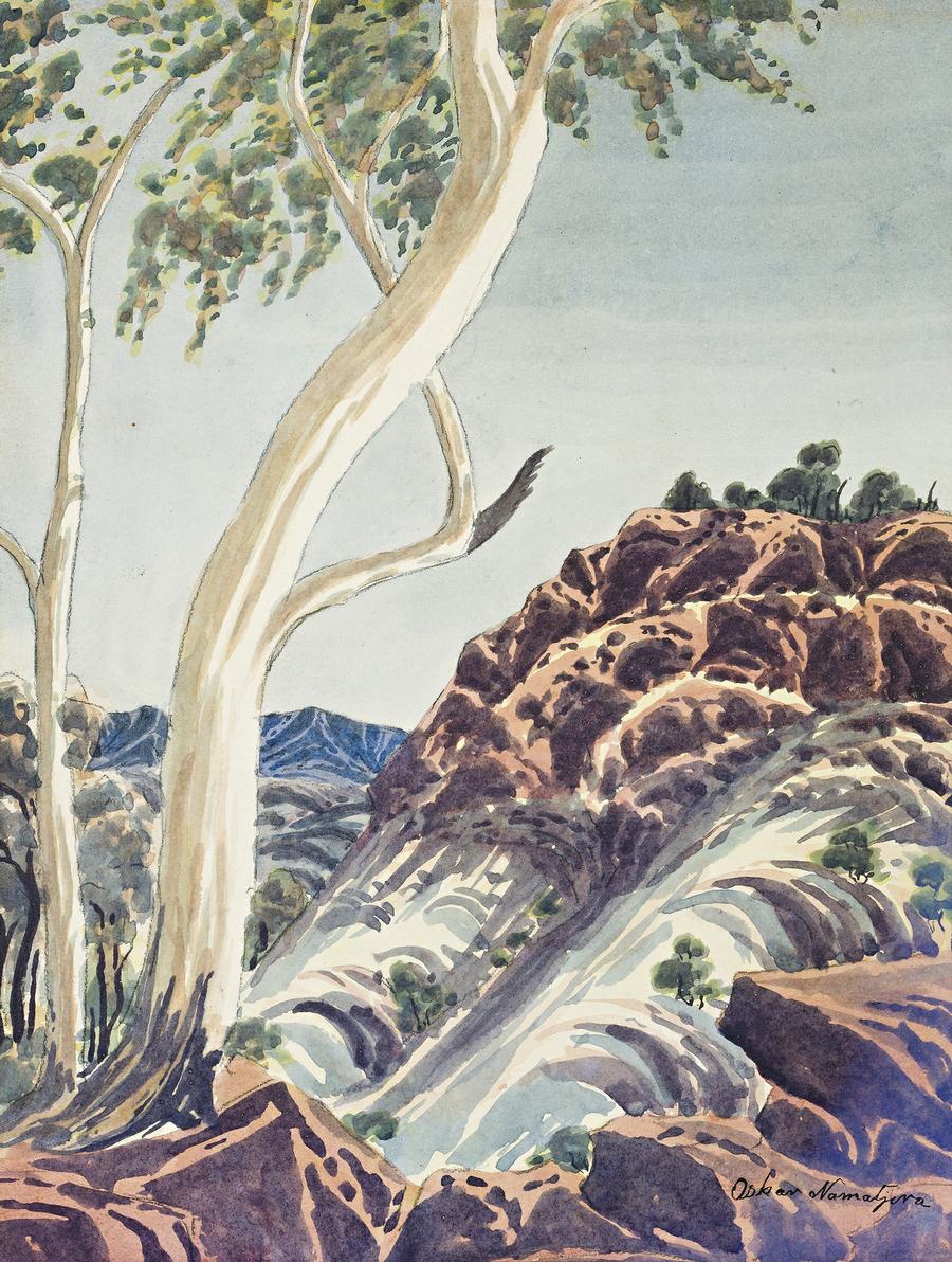 MOUNT RAZORBACK LANDSCAPE