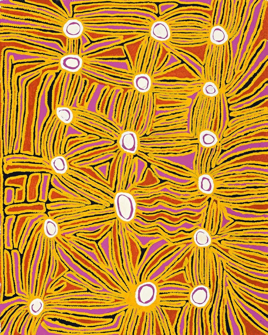 PORCUPINE DREAMING