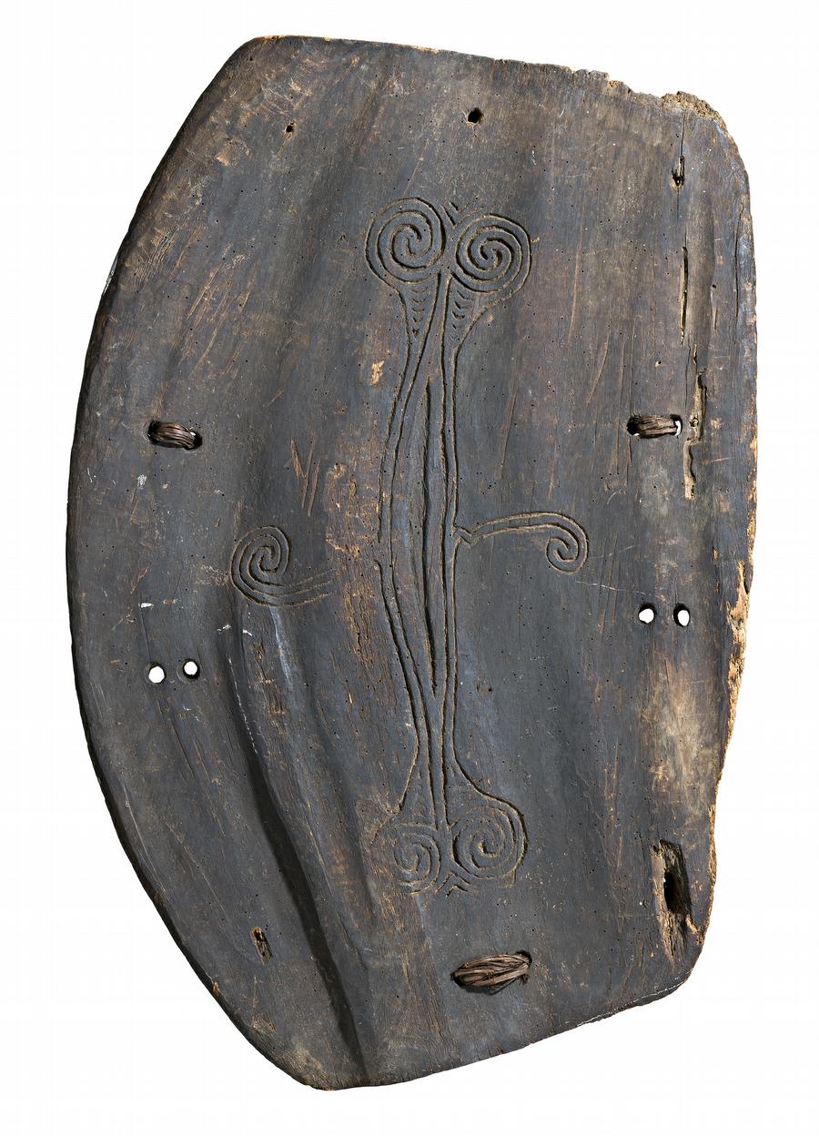 A WAR SHIELD