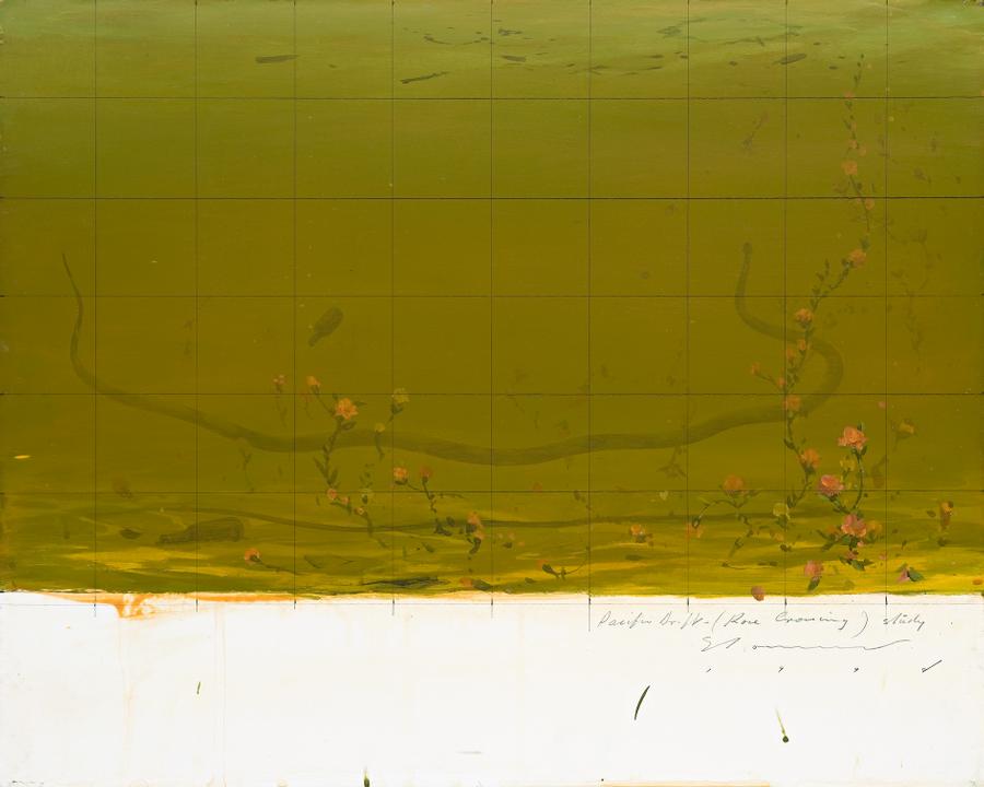 PACIFIC DRIFT (ROSE CROSSING) STUDY