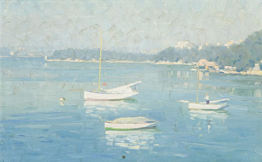 BOATS MOORED IN A COVE, SYDNEY