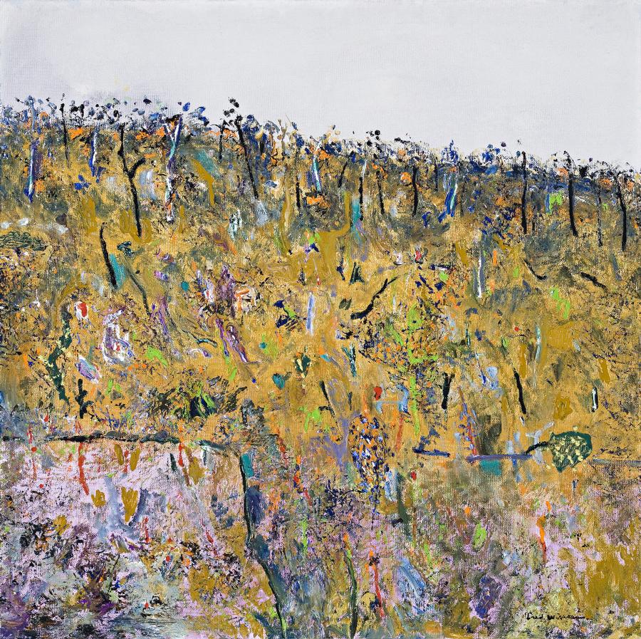 BLACKWOOD WATTLE