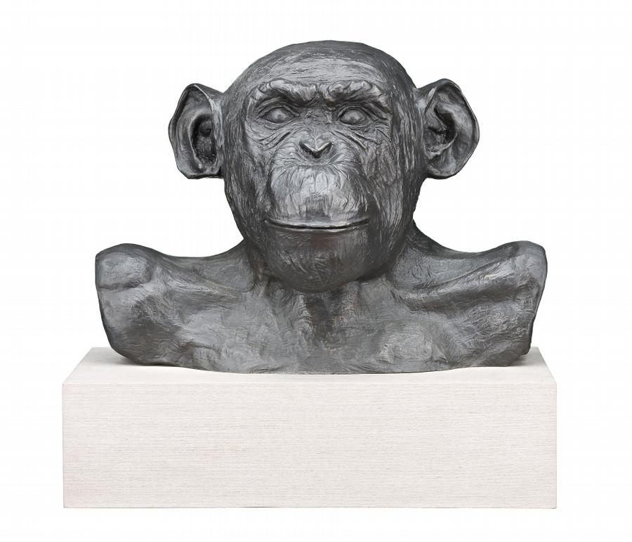 HAM (ASTRO CHIMP) NO. 29