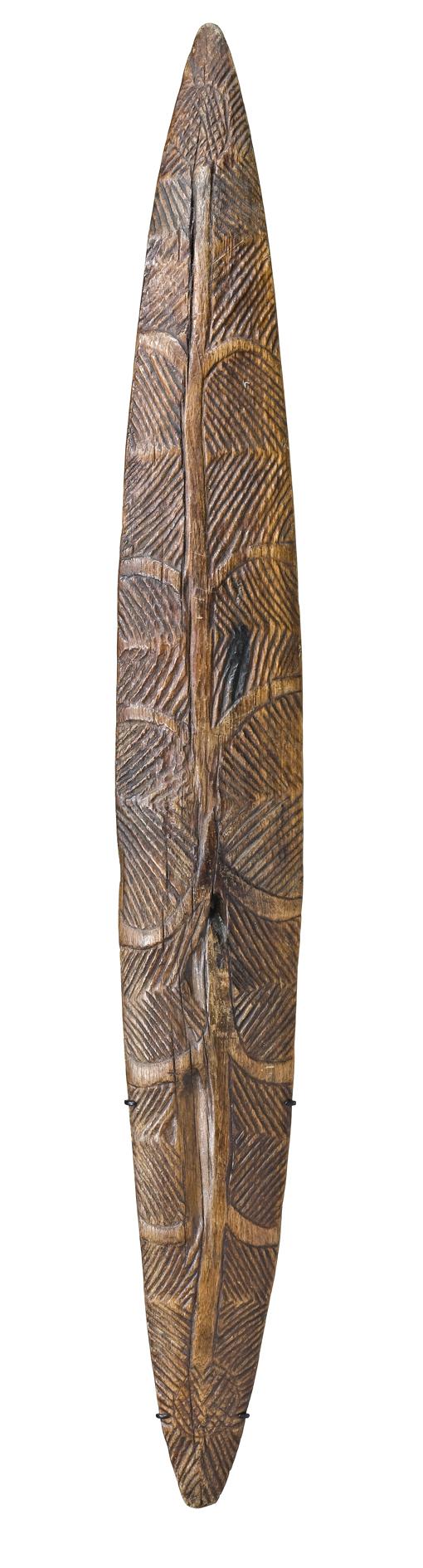 A NARROW SHIELD