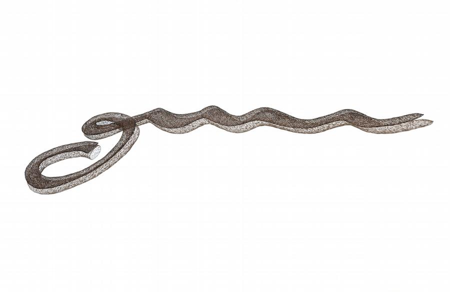 INSIGNIA