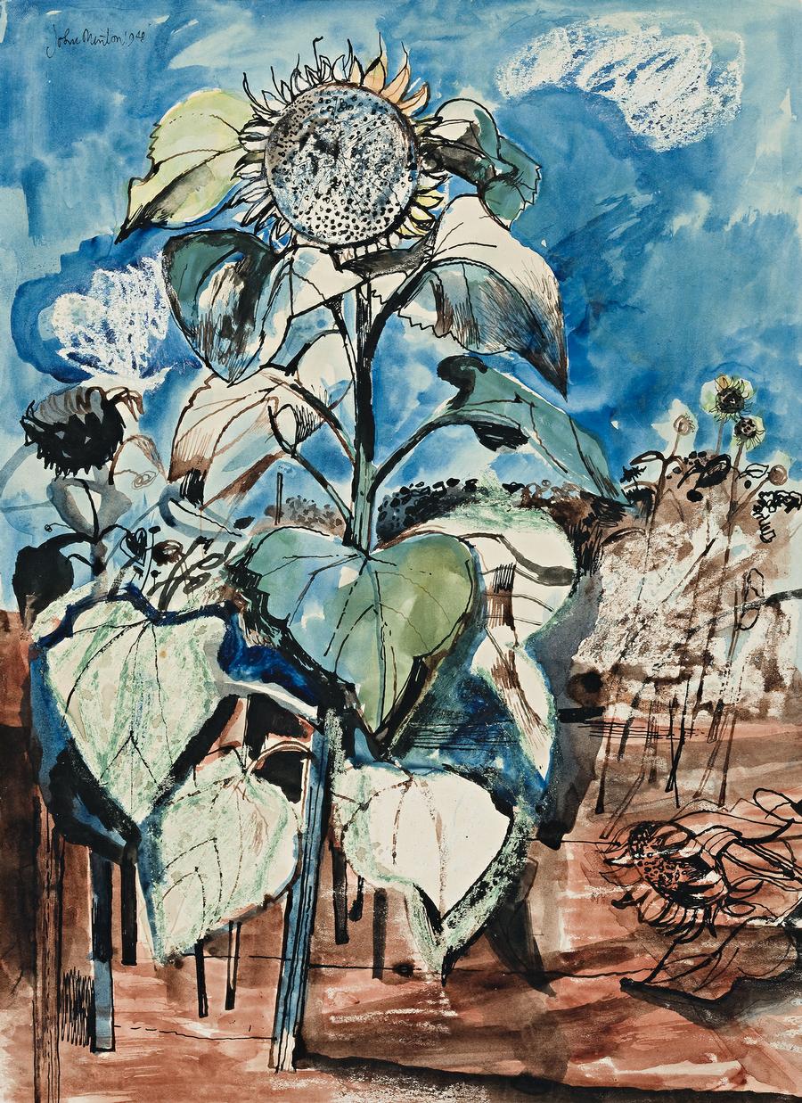 SUNFLOWER
