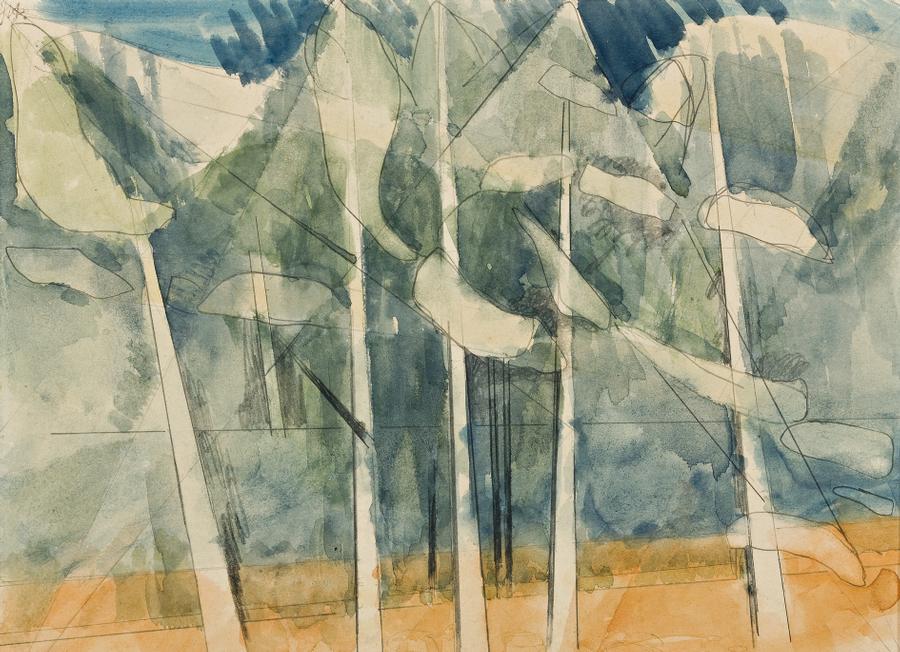 FOREST SERIES