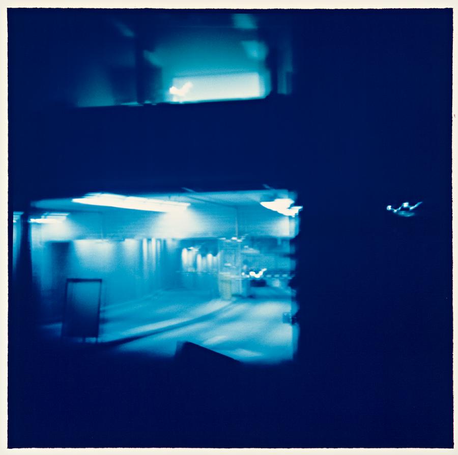 UNTITLED, 1991-92 FROM THE SCOPIC TERRITORIES SERIES