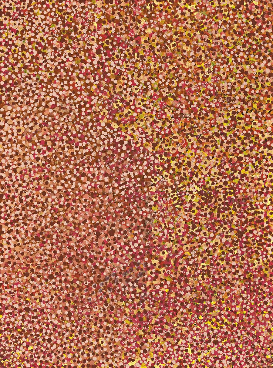 OOROOTERNA, WILD FRUITS