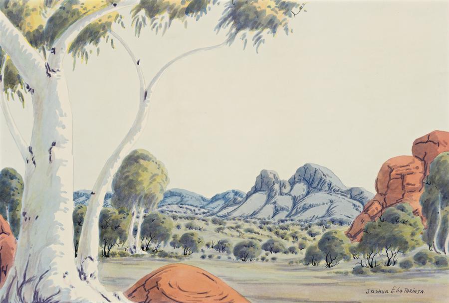 CENTRAL AUSTRALIAN LANDSCAPE