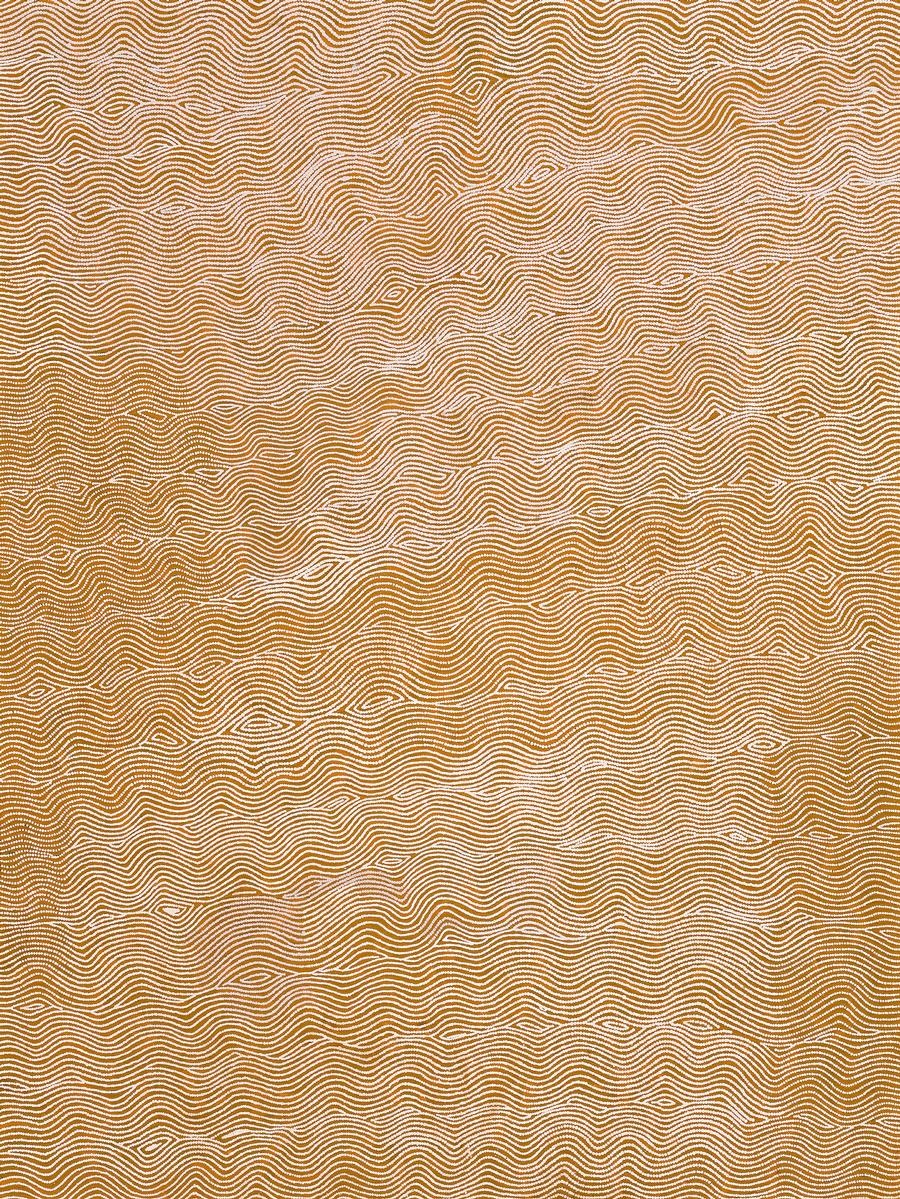 NGULKINGNAPALKA, THE CLAYPAN SITE OF LAKE MACKAY