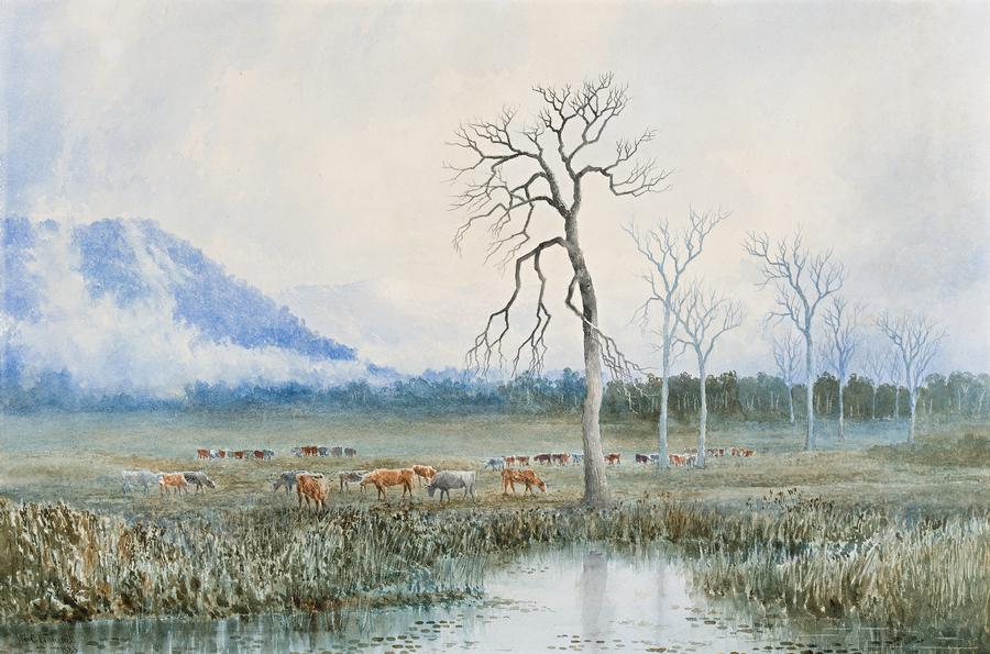 PASTORAL IDEAL, TASMANIA