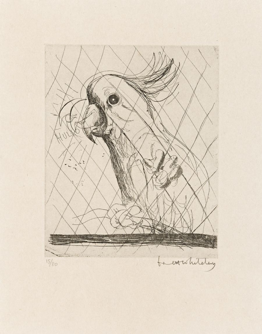 COCKATOO