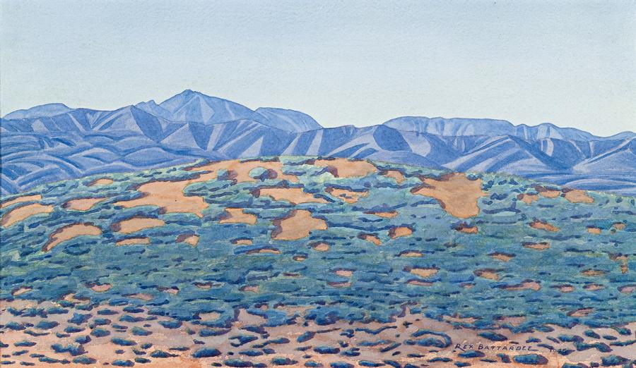 CENTRAL AUSTRALIAN LANDSCAPE