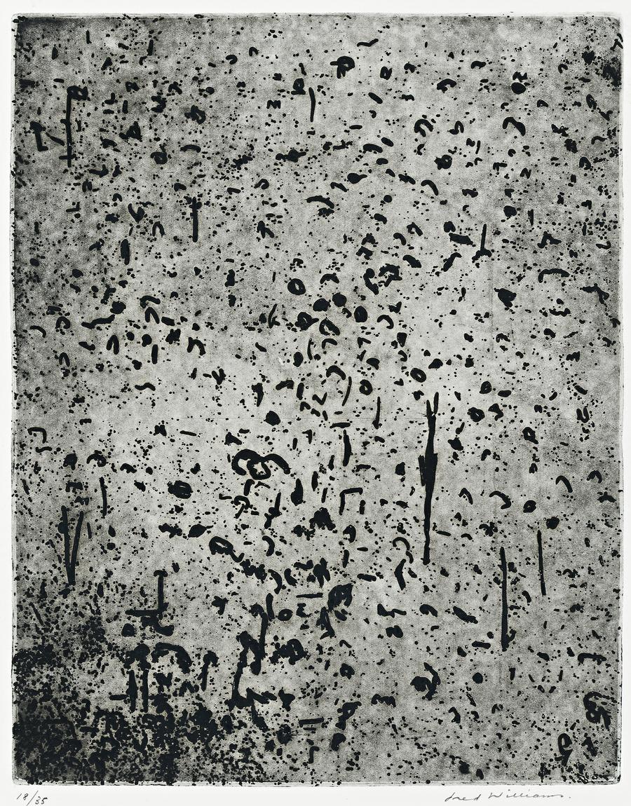 FOREST OF GUM TREES