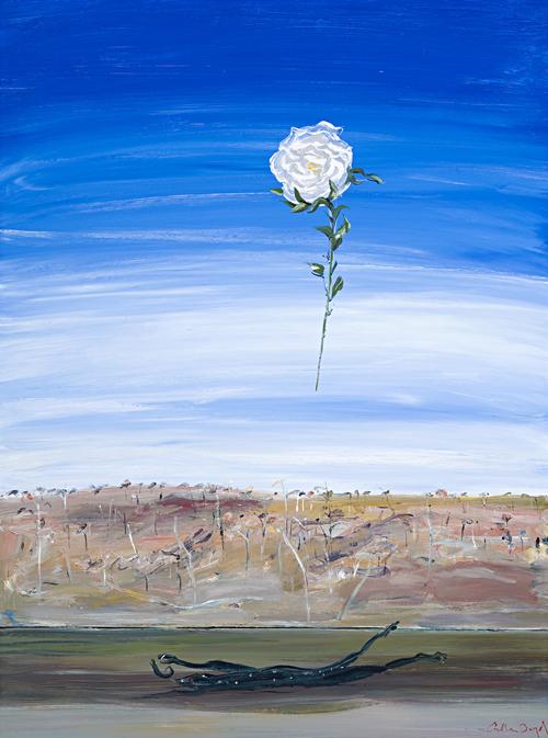 ROSE OVER SHOALHAVEN
