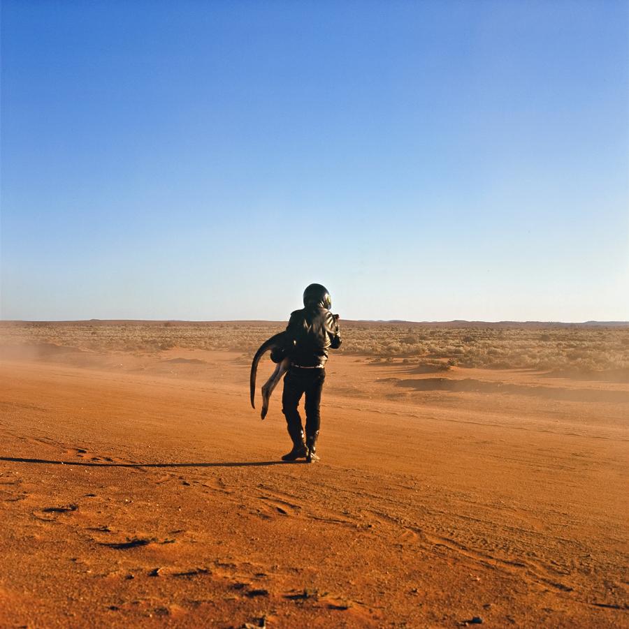 APOLOGY TO ROADKILL: DAYDREAM MINE ROAD II 2007 (from the series MADDESTMAXIMVS )