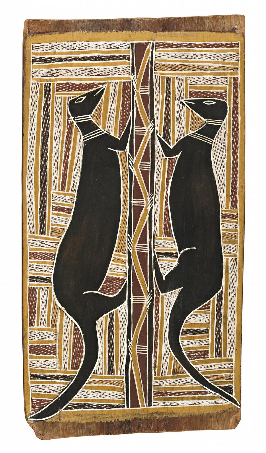 DJANDA (GOANNAS)