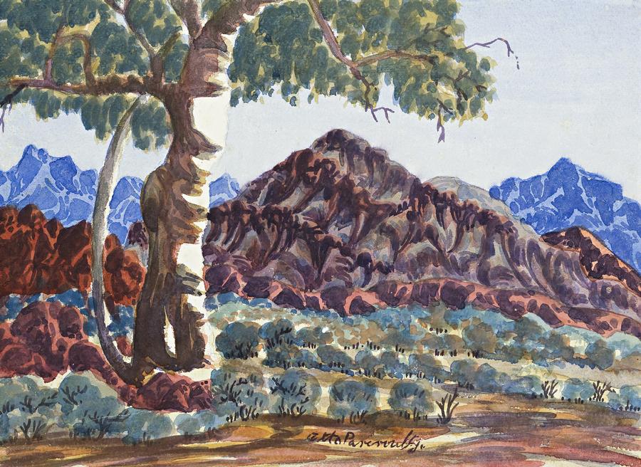 CENTRAL AUSTRALIAN LANDSCAPE