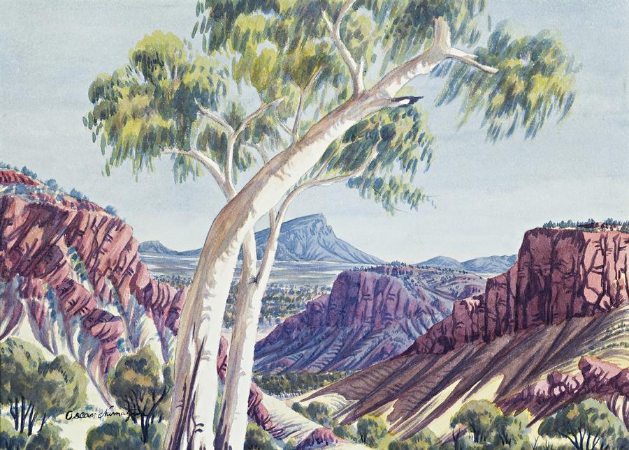 CENTRAL AUSTRALIAN LANDSCAPE